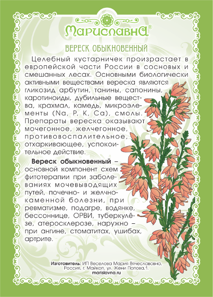 Вереск обыкновенный (трава и цветы)