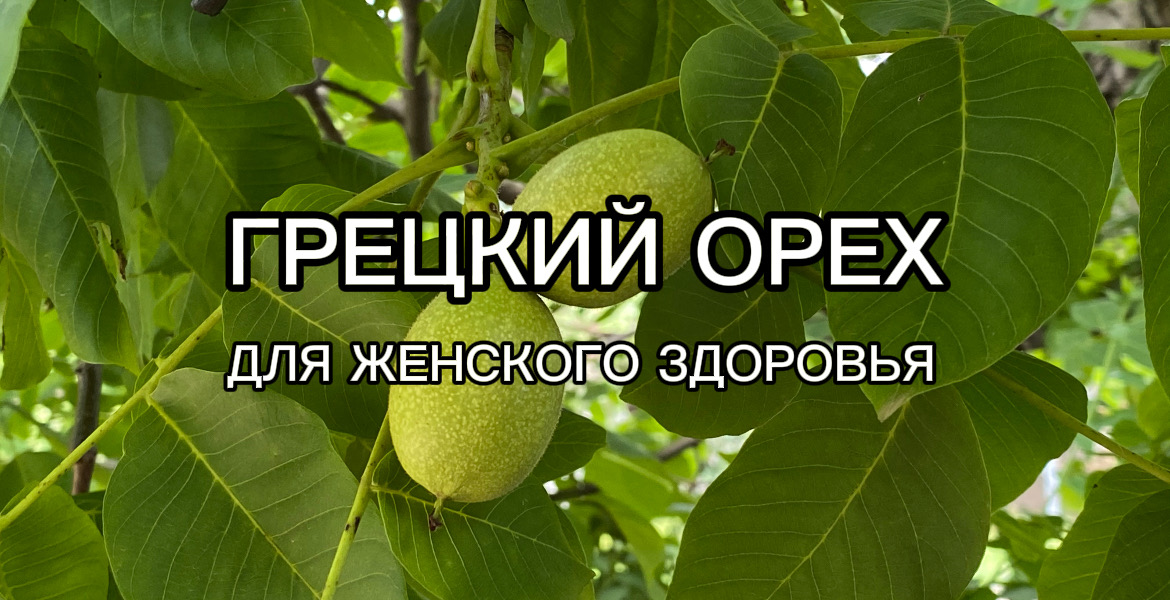 Грецкий орех для женского здоровья