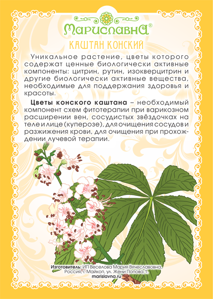 Каштан конский (цветы)