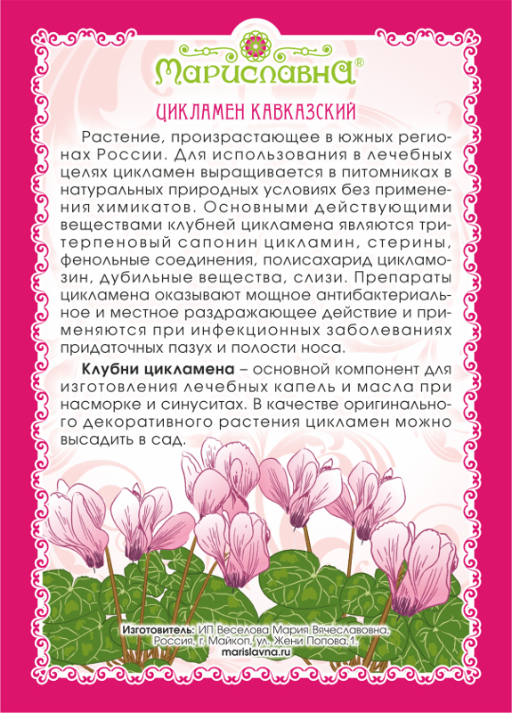 Цикламен клубни