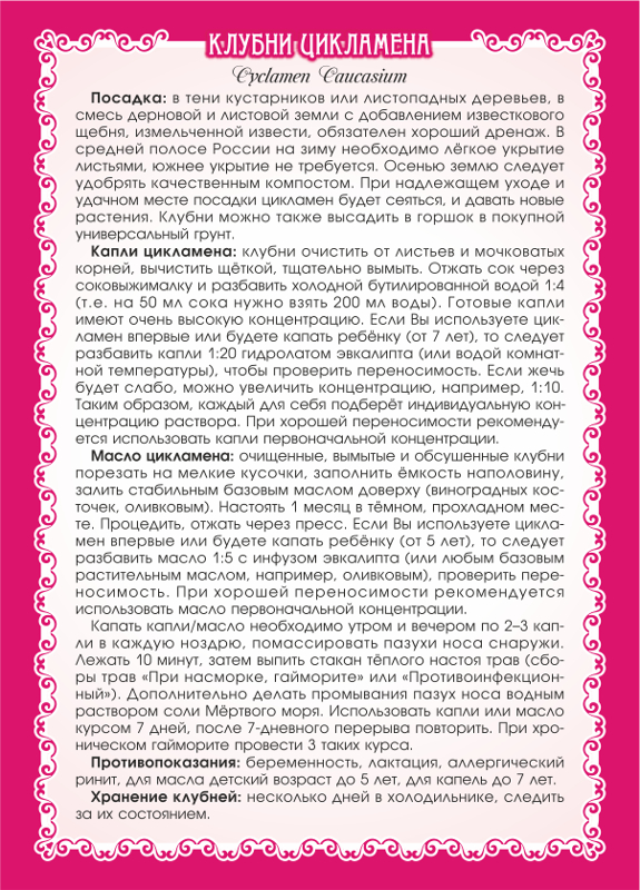 Цикламен клубни