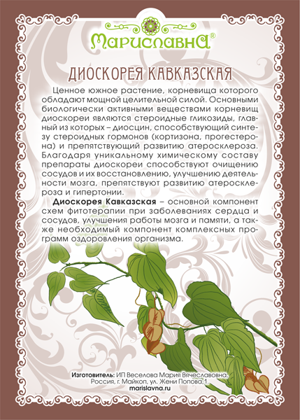 Диоскорея Кавказская (корень)