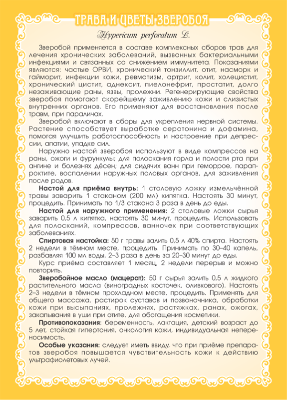 Зверобой (трава и цветы)