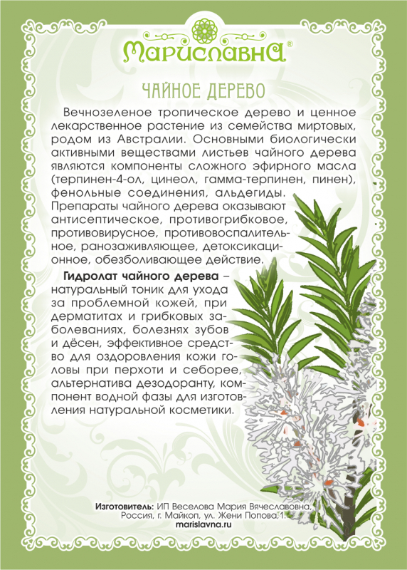 Гидролат чайного дерева