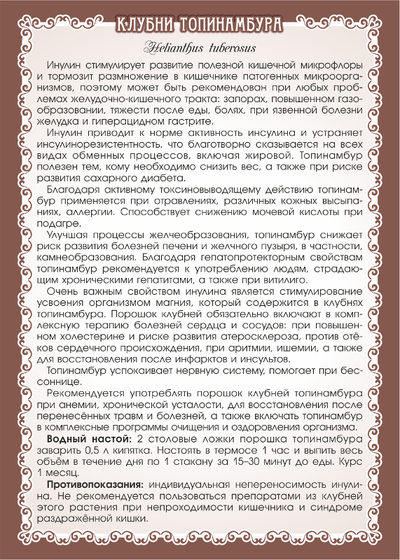 Топинамбур порошок клубней