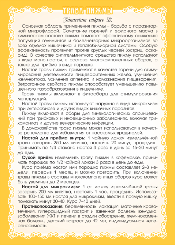 Пижма (трава и цветы)