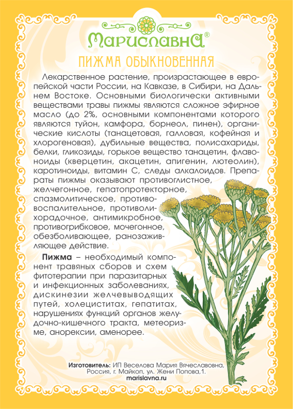 Пижма (трава и цветы)
