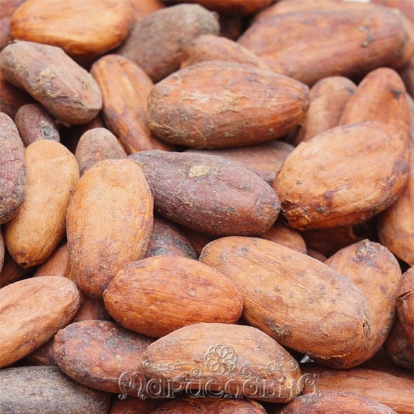 Какао-бобы отборные