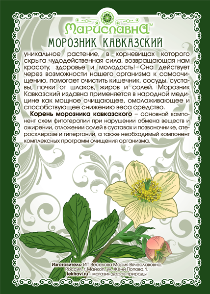 Морозник Кавказский корень молотый + мерная ложечка Вес 90 г