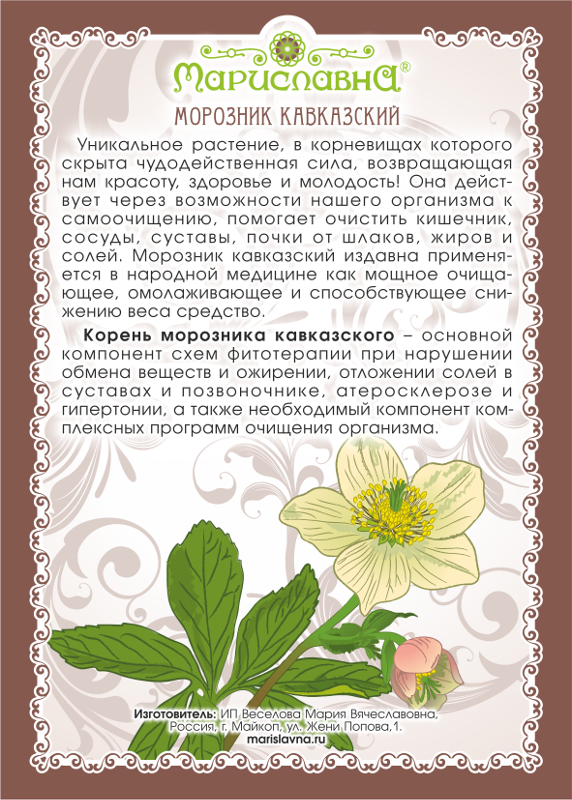 Морозник Кавказский корень молотый + мерная ложечка Вес 90 г