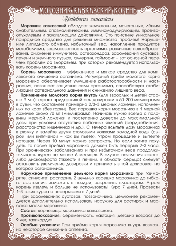 Морозник Кавказский корень молотый + мерная ложечка Вес 90 г